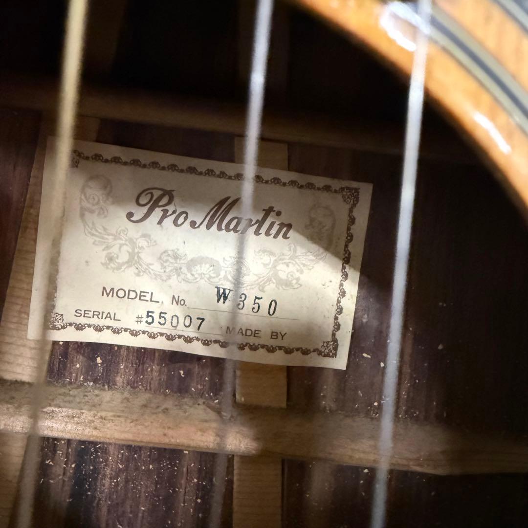 Pro Martin プロ マーティン W350 アコースティックギター