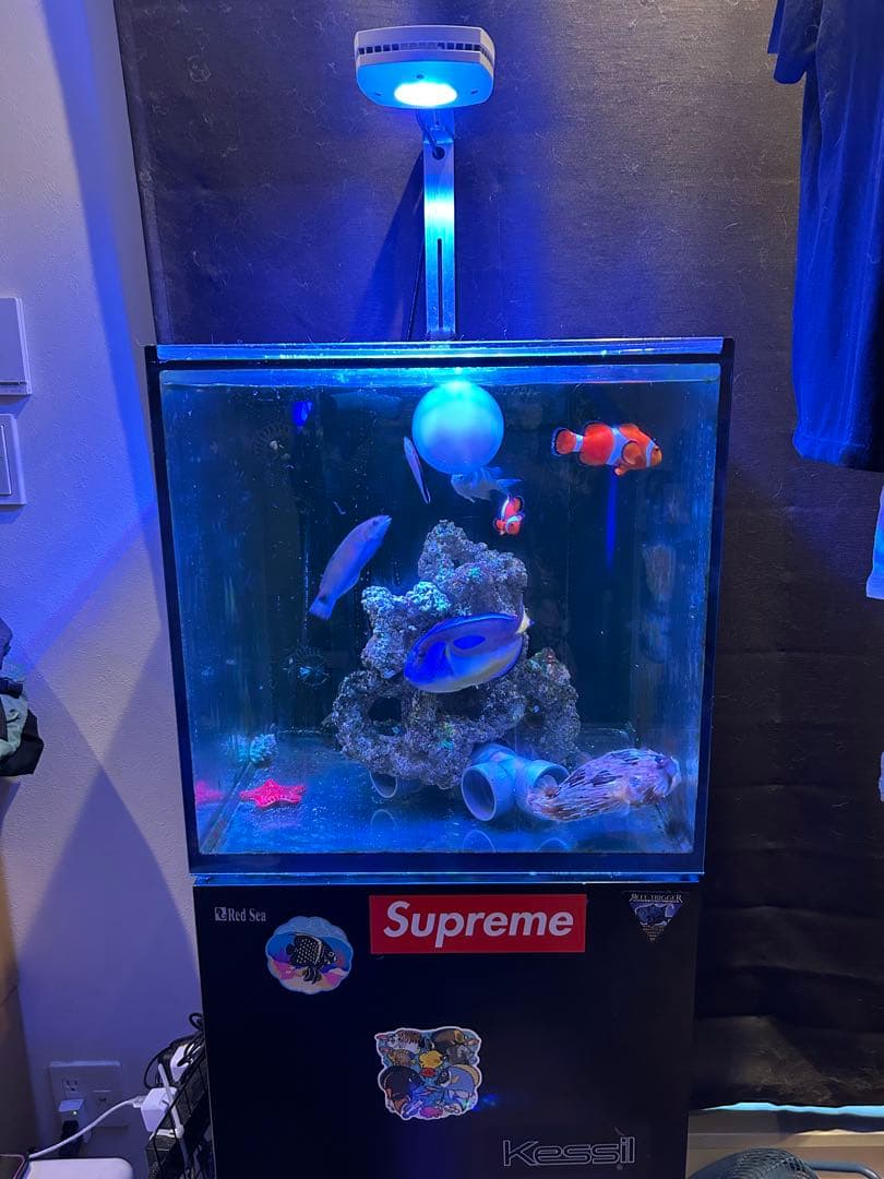 【２月値下中】レッドシーマックスナノ水槽　セット