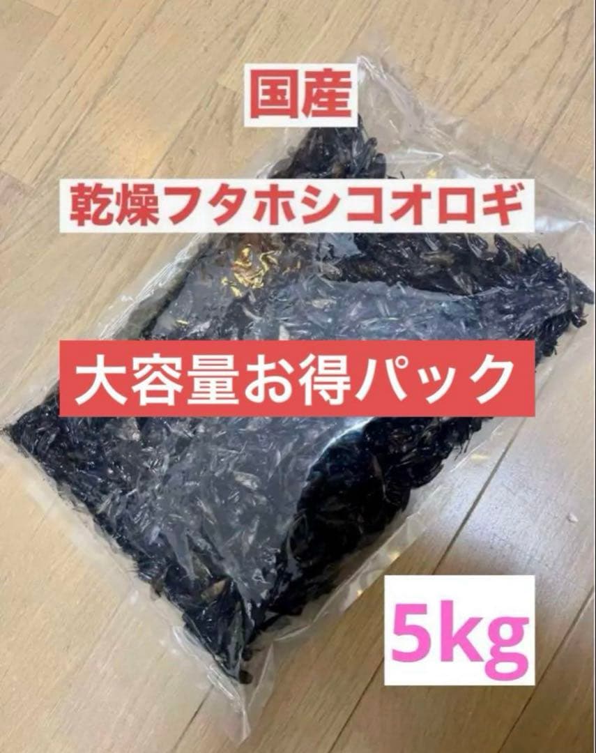 大特価⭐︎国産養殖　乾燥フタホシコオロギ　5kg