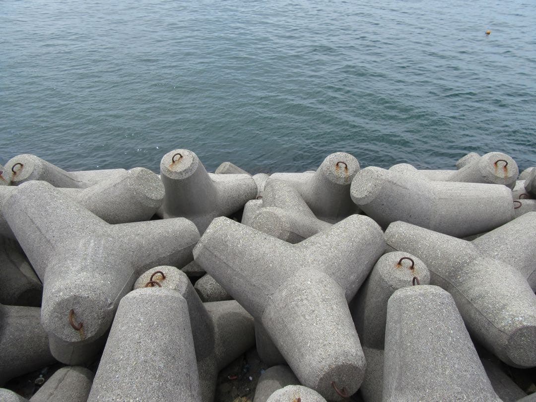 【作例あり】Canon Powershot SX610 HS コンデジ