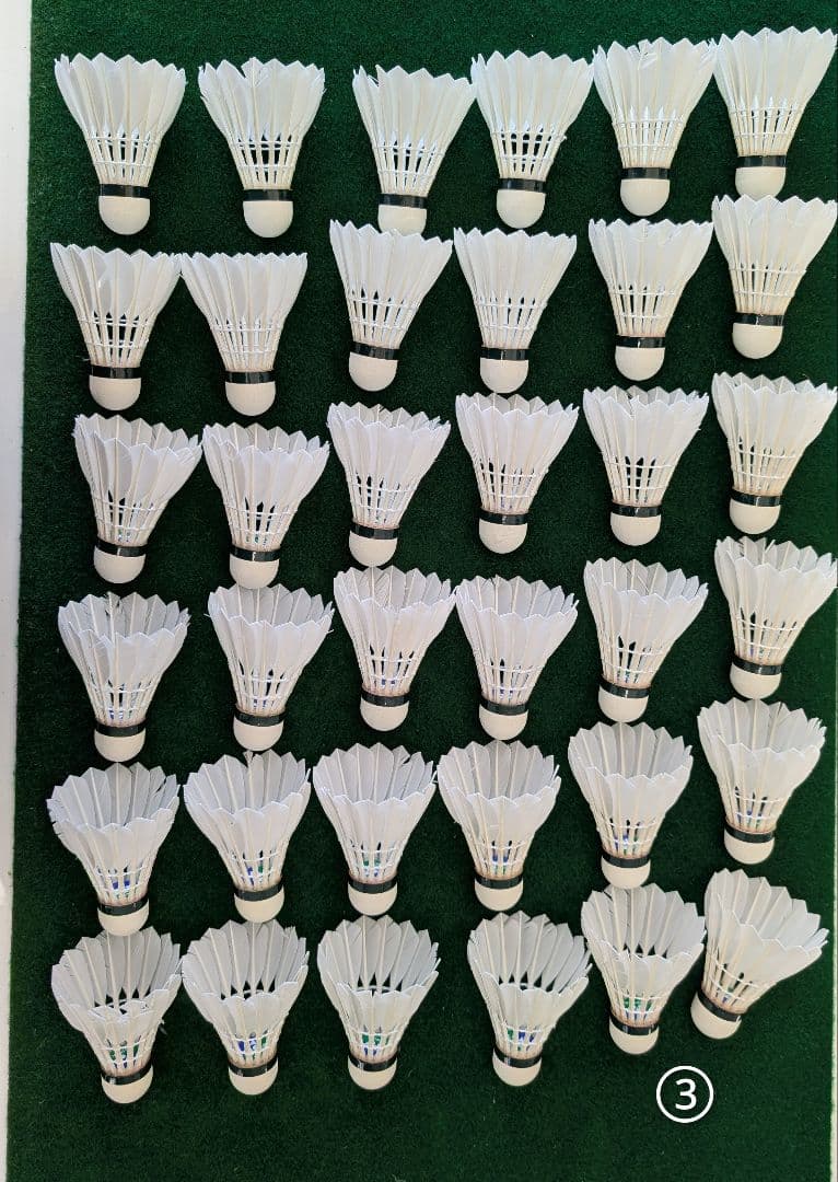 NEW OFFICIAL F4 10ダース