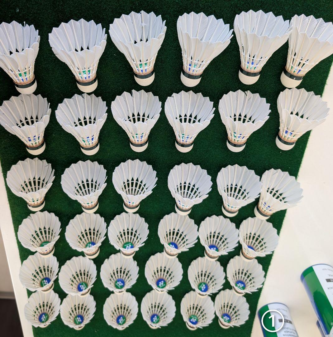 NEW OFFICIAL F4 10ダース