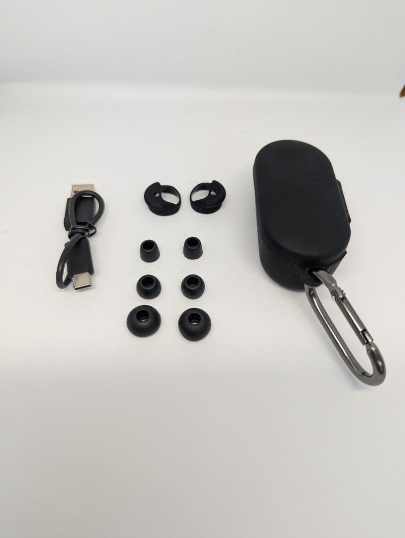 イヤホン DENON PerL Pro AH-C15PL