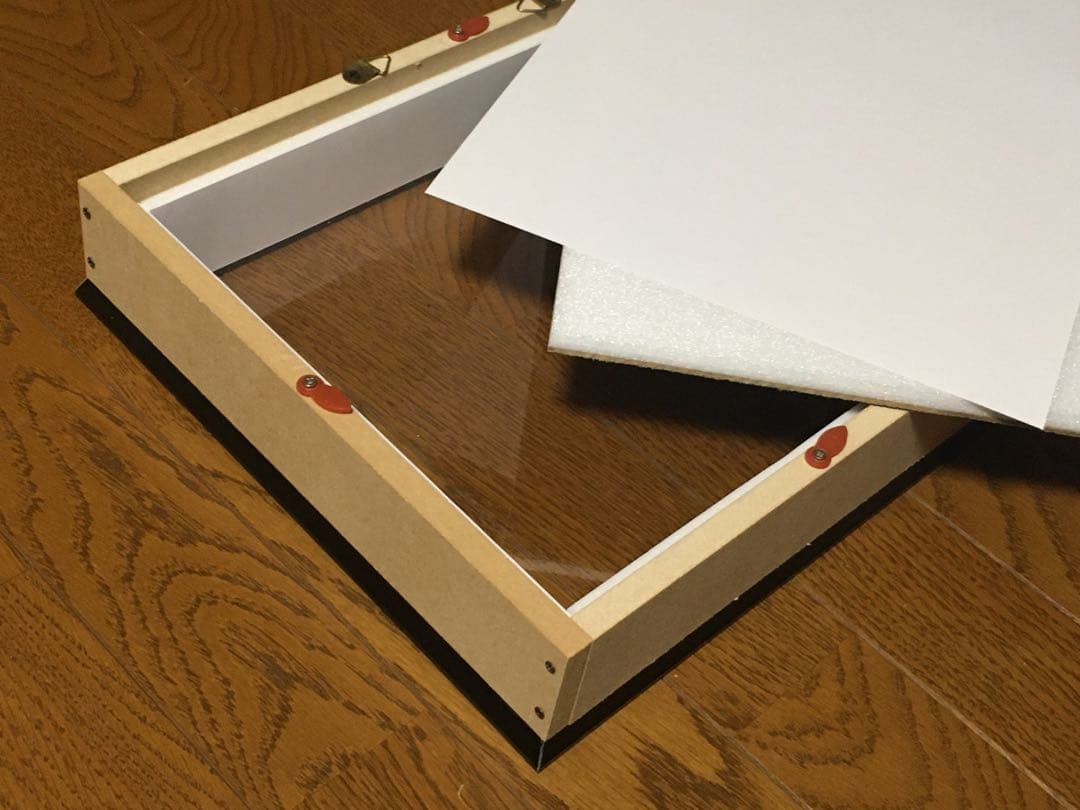 Ooo　標本箱A4サイズ黒枠5点