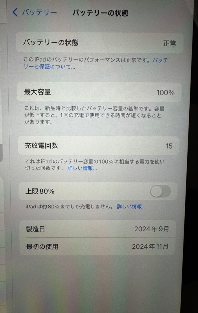 iPad mini (A17 Pro) (第7世代) Wi-Fi おまけ付き
