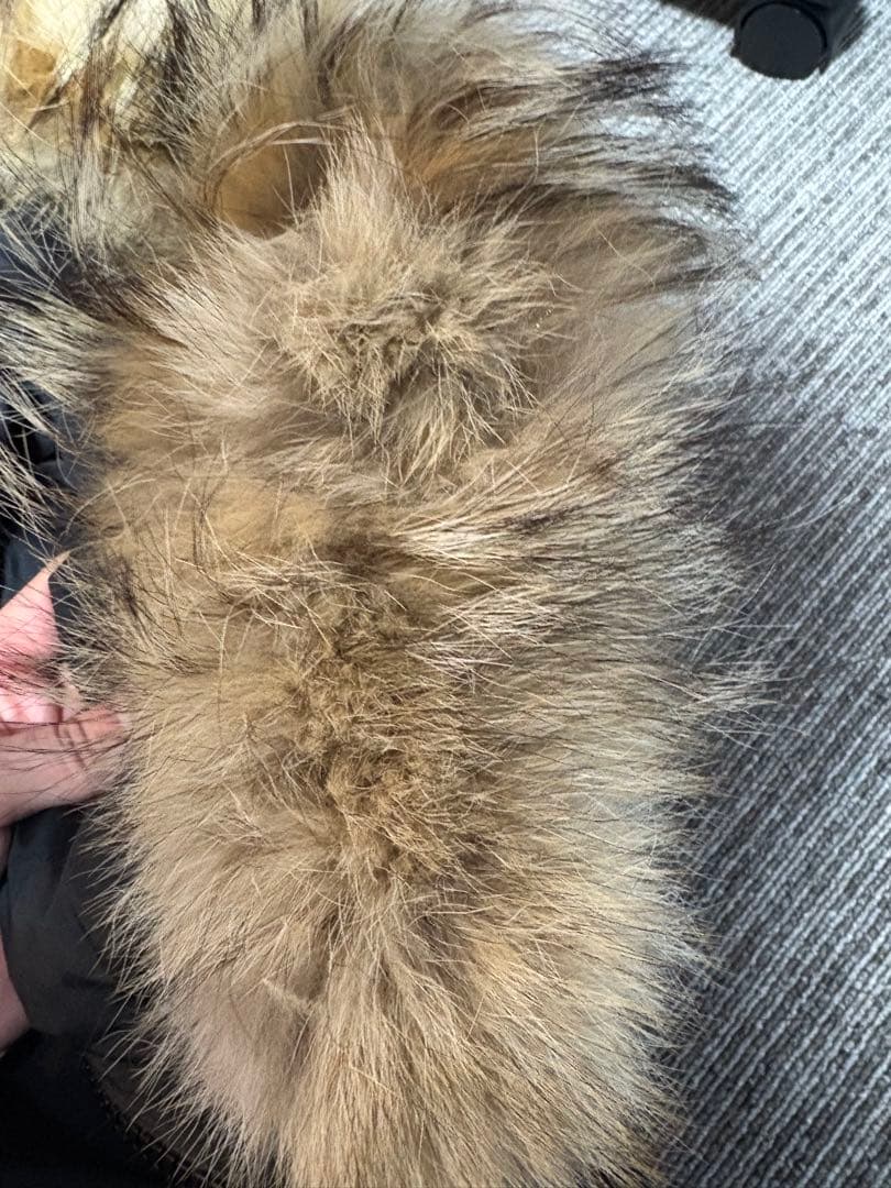 カナダグース　チリワックボンバー　  ダウンジャケット