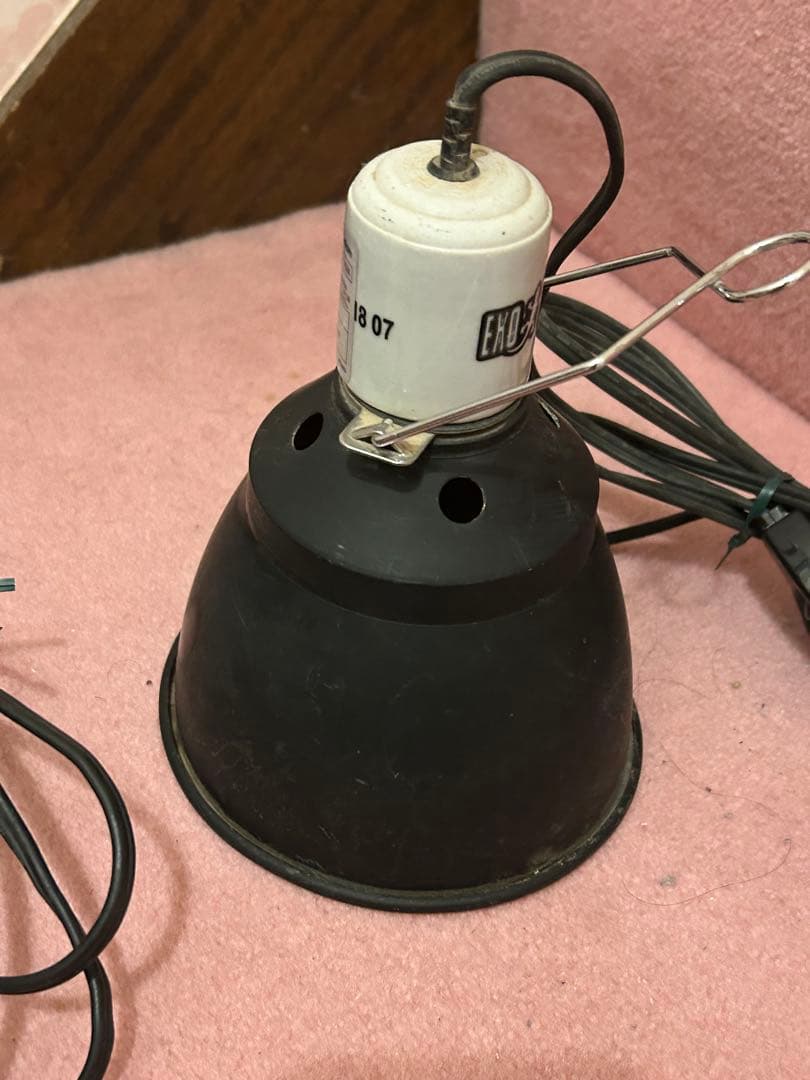 【動作確認済み】エキゾテラ ズーメッド 爬虫類用品セット