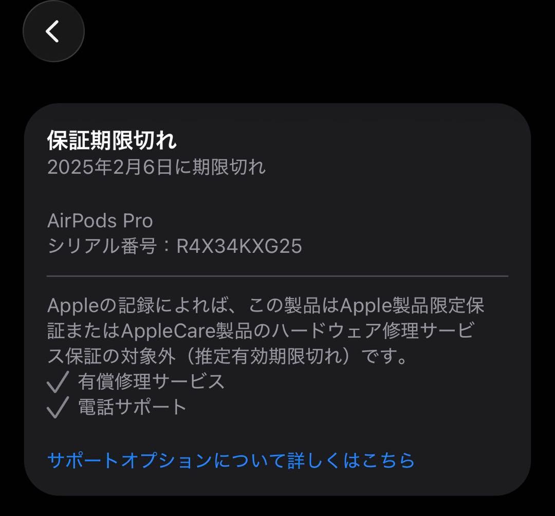 【PANTON448C】AirPods Pro2・全備品+オマケ付き