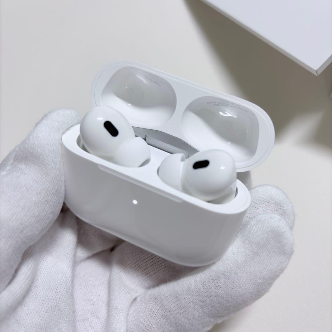 【PANTON448C】AirPods Pro2・全備品+オマケ付き