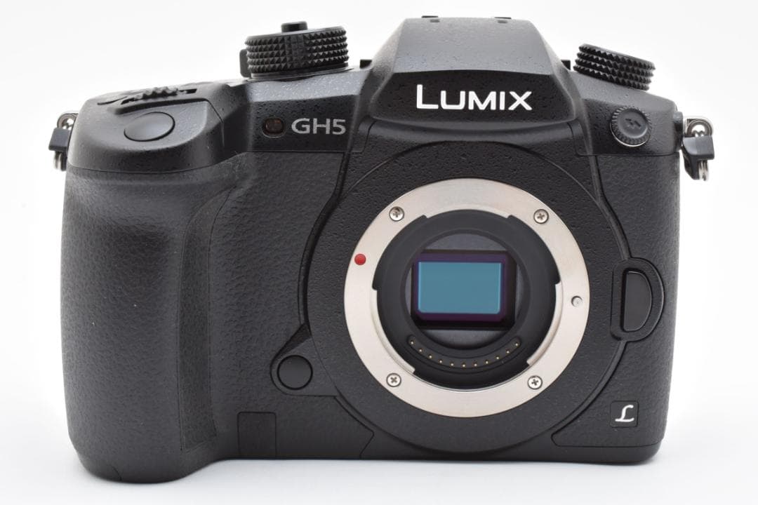 パナソニック Panasonic LUMIX RD-SPM049 (GH5)