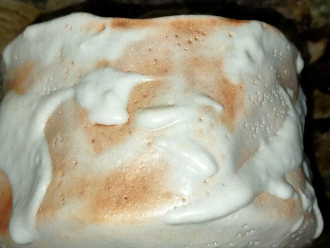 ♥美濃焼♥　志野　茶碗　在銘　茶道具　骨董　古玩