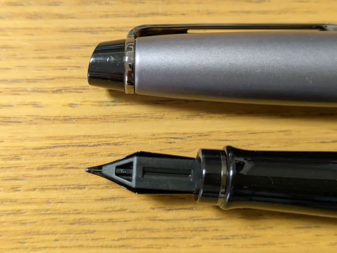 WATERMAN ウォーターマン エキスパート 万年筆 F細字