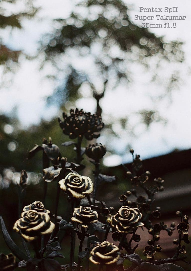 ★pentax sp Ⅱ +タクマー1.8★完動＊美品＊初期保証＊本革外装