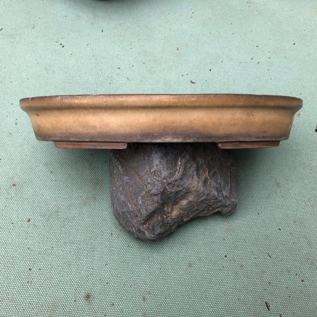 銘鉢　白磁　１００年伝統