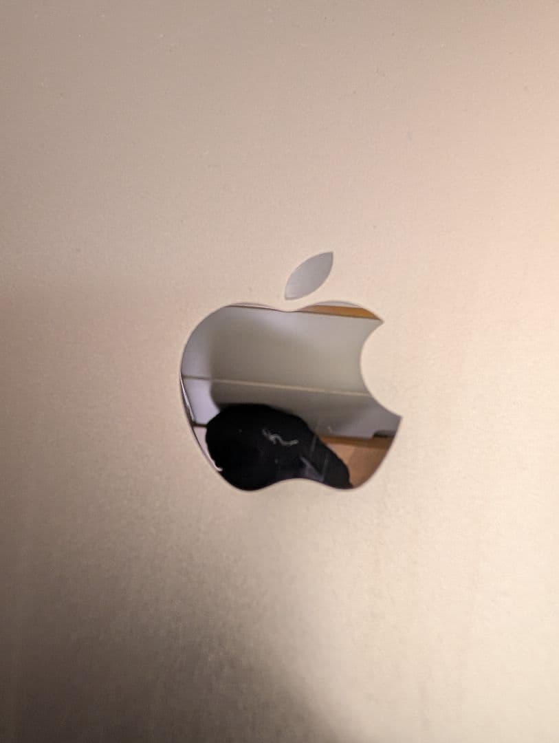 Apple iPad A2270 ゴールド 10.2インチ 本体