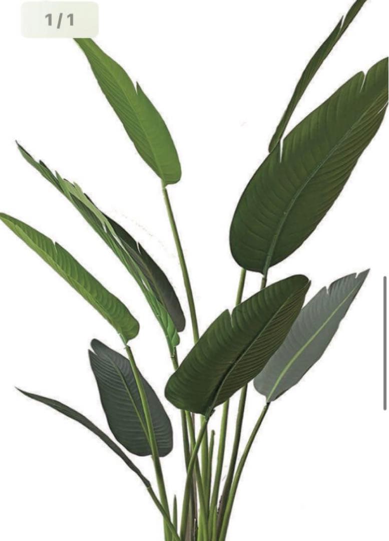 光触媒　人工観葉植物　ウォールグリーン　フェイクグリーン　オーガスタ160