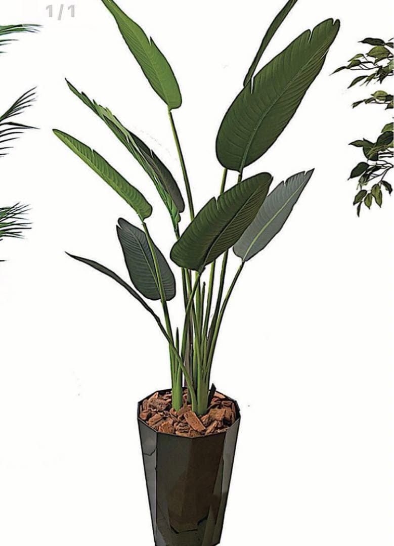 光触媒　人工観葉植物　ウォールグリーン　フェイクグリーン　オーガスタ160