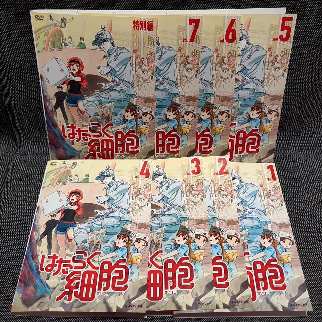 新品ケース付 はたらく細胞 全７巻セット＋特別編