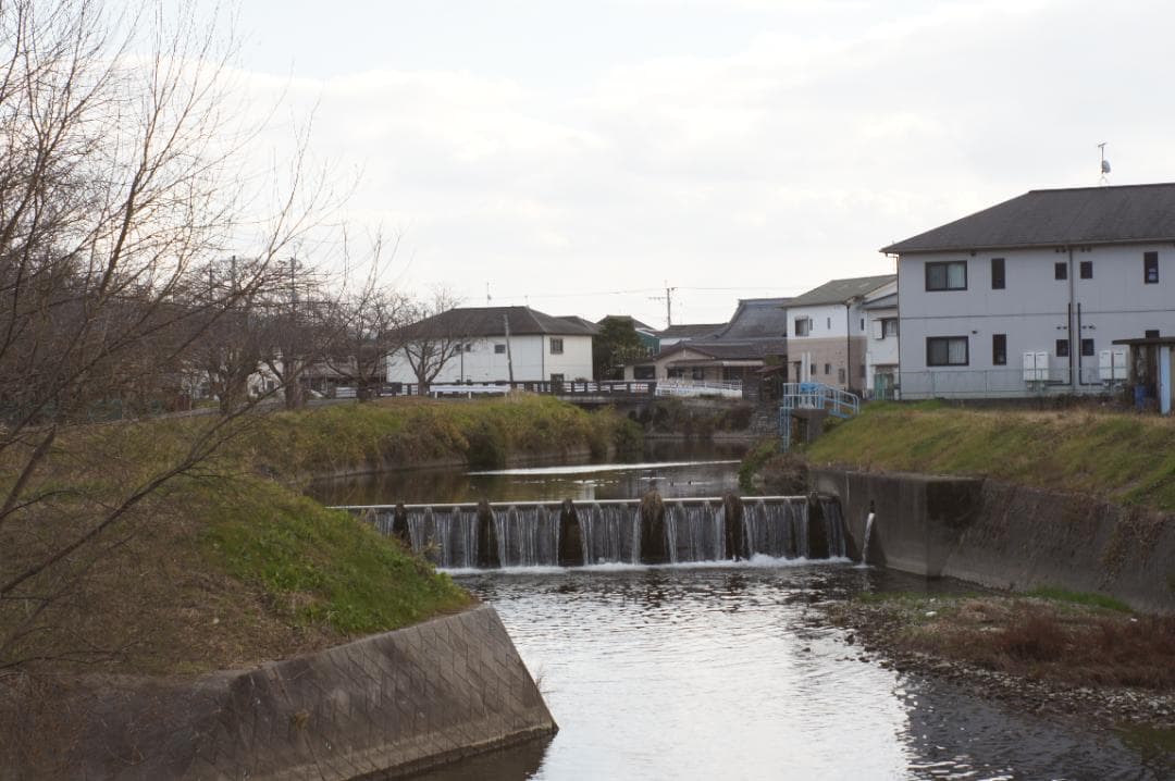 【富岡光学 ヤシカ】 Auto Yashinon-DX 50mm F2