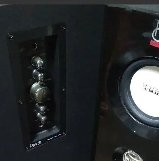 ✨アンプ内蔵付き、本格スピーカー、（左スピーカー）