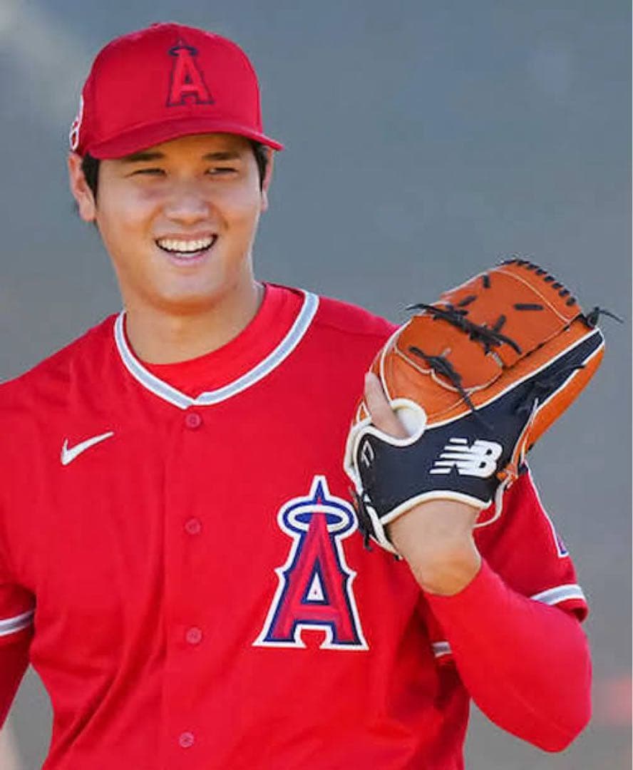 大谷翔平風投手オーダーグローブ