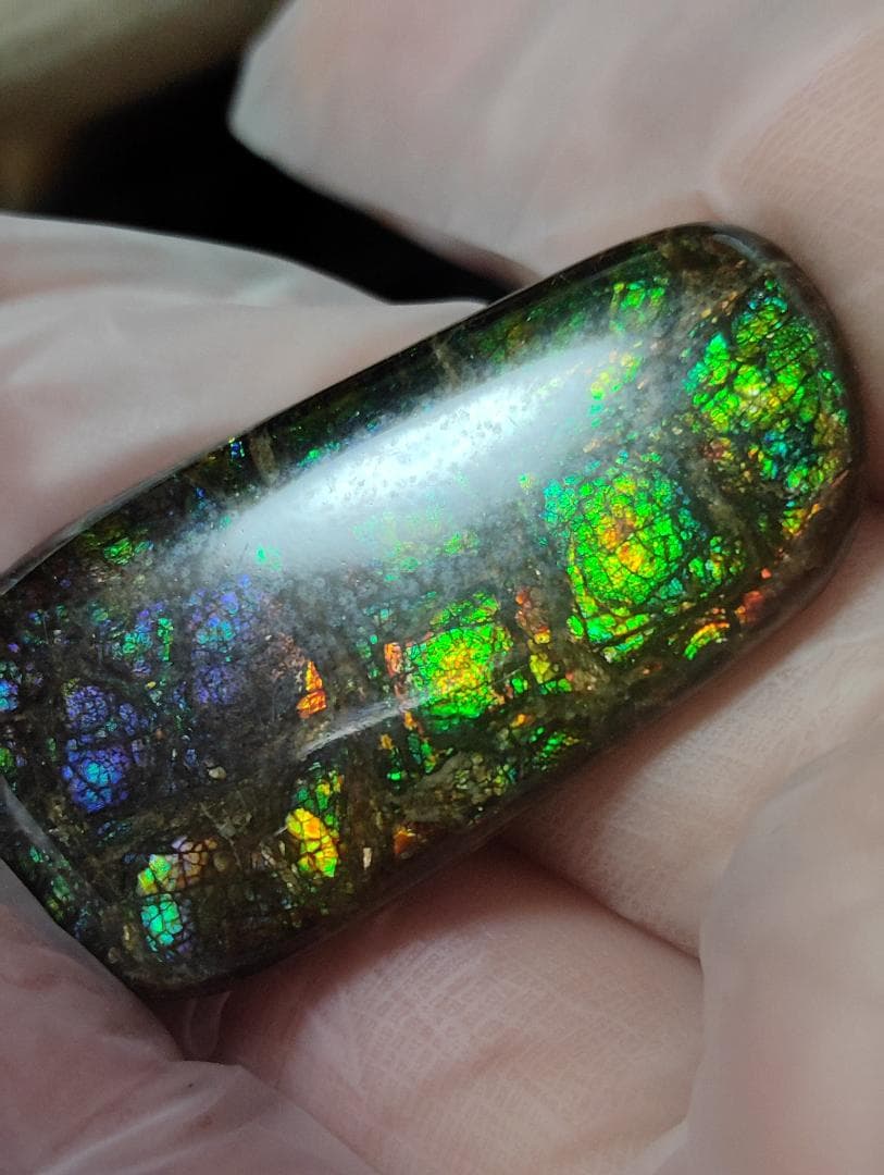 アンモライト　ルース　最後の画像２枚裏面発色　24-0735 39000