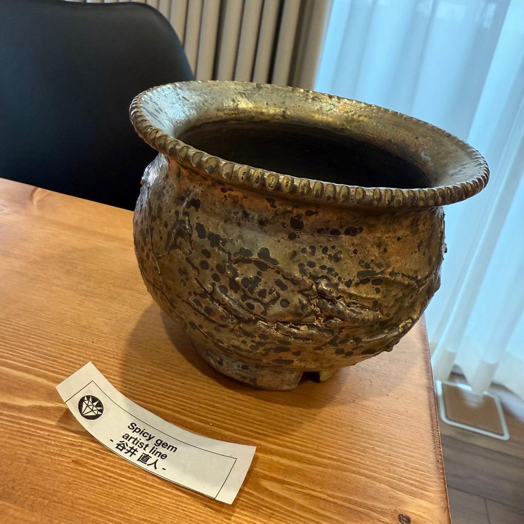 Spicy gem 鶴仙園　鉢　谷井直人