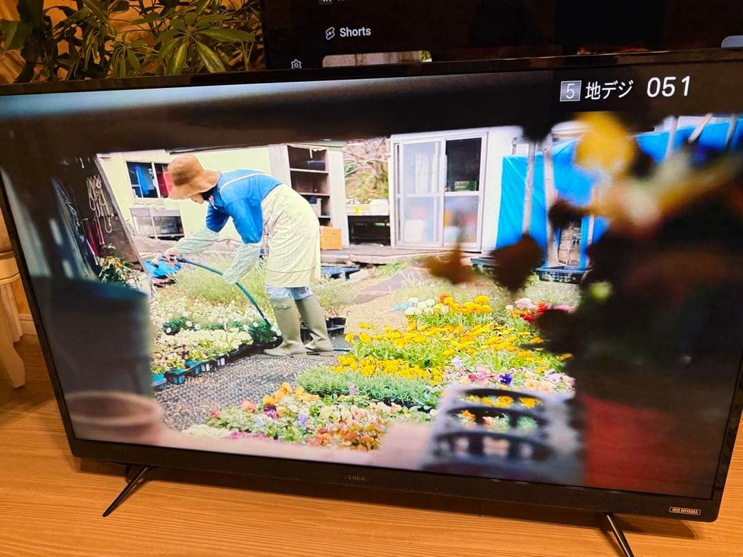 ＊東京都付近限定品＊美品 アイリスオーヤマ　LUCA 43インチ　液晶テレビ