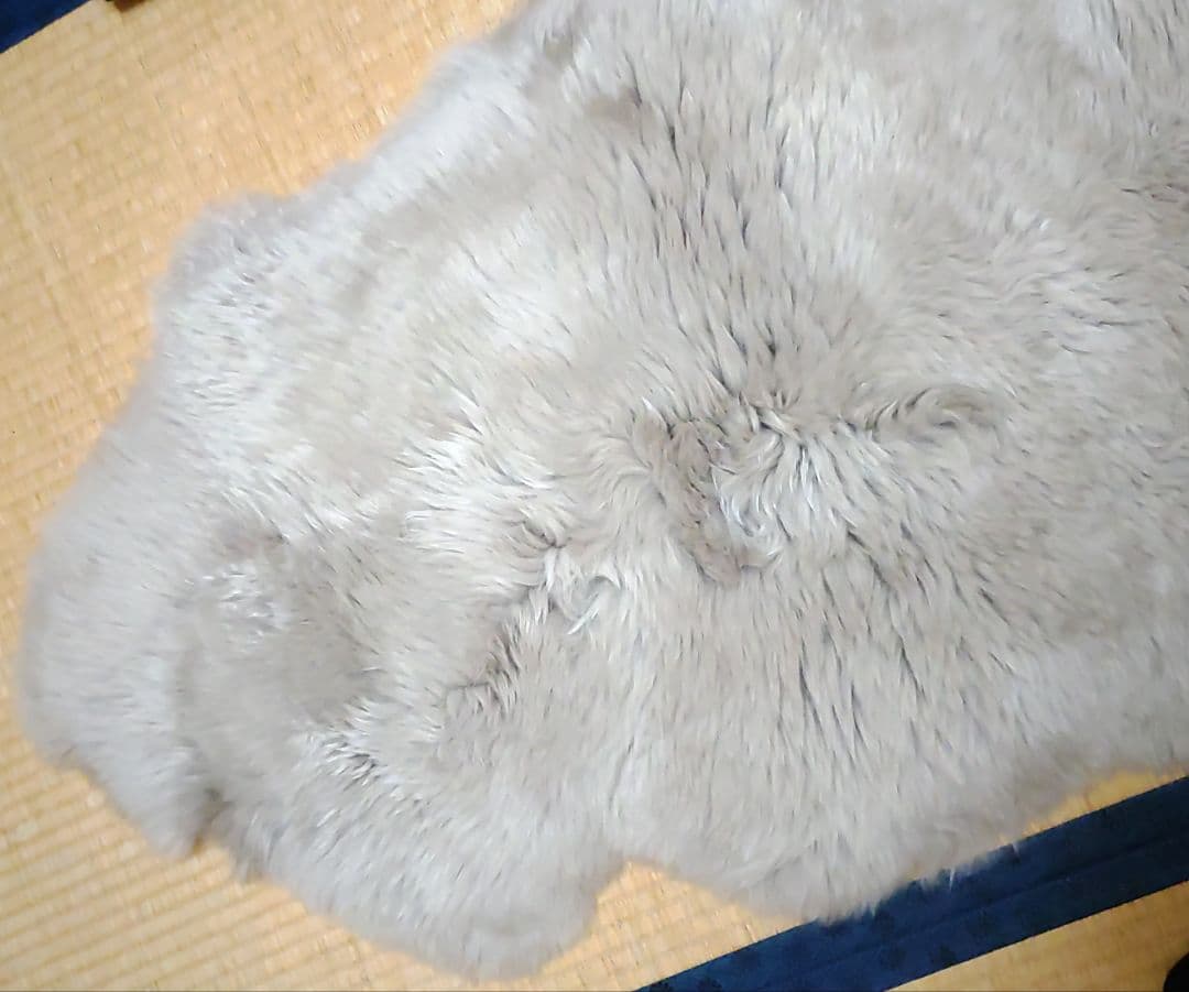 長毛ムートンフリース2匹サイズ ほぼ未使用品