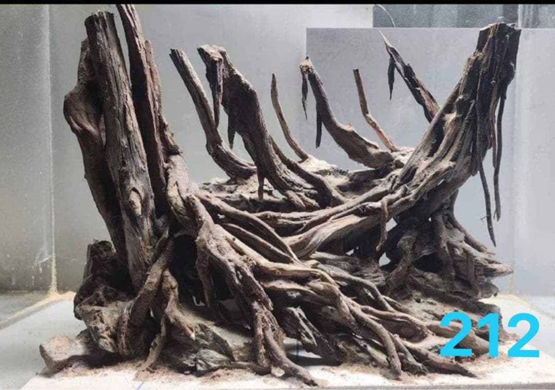 盆栽流木 水草用の 流木。流木アクアリウム　パルダリウム　マシンガンウッド