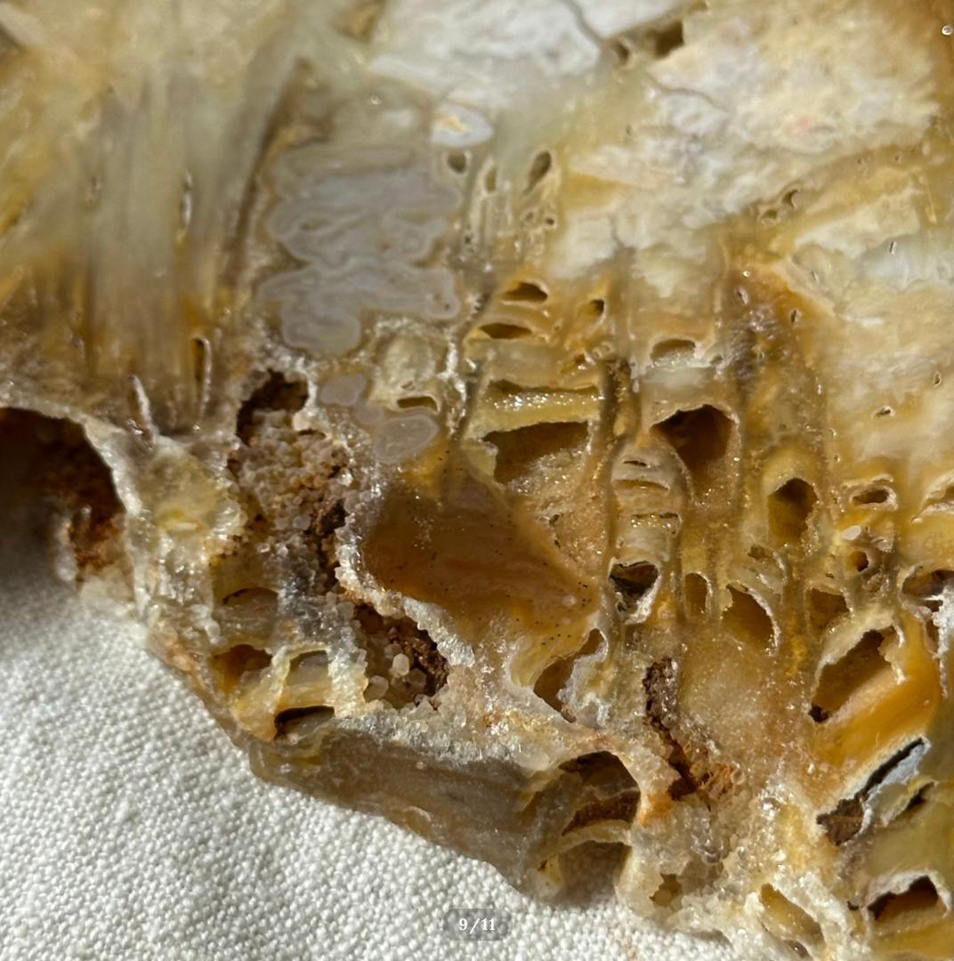 【瑪瑙】アゲート スライス シリカ化 カルセドニー × セレナイト