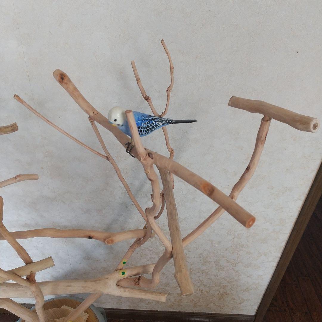 マロ小鳥の楽園バードアスレチックツリージム③