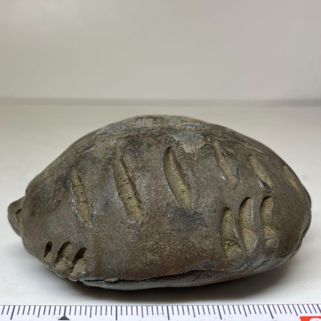 古備前 亀形香合 共箱 h4cm 東キ8-0121☆2F