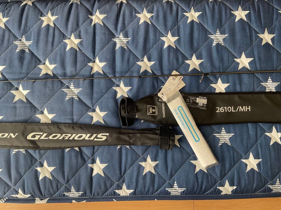 ポイズン グロリアス バスロッド 2610L/MH