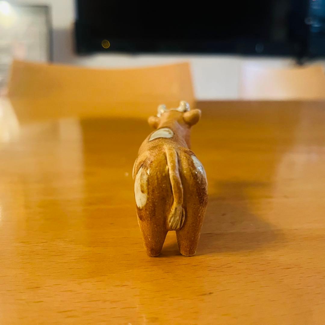 ✪Rutebo✪ ウシさん