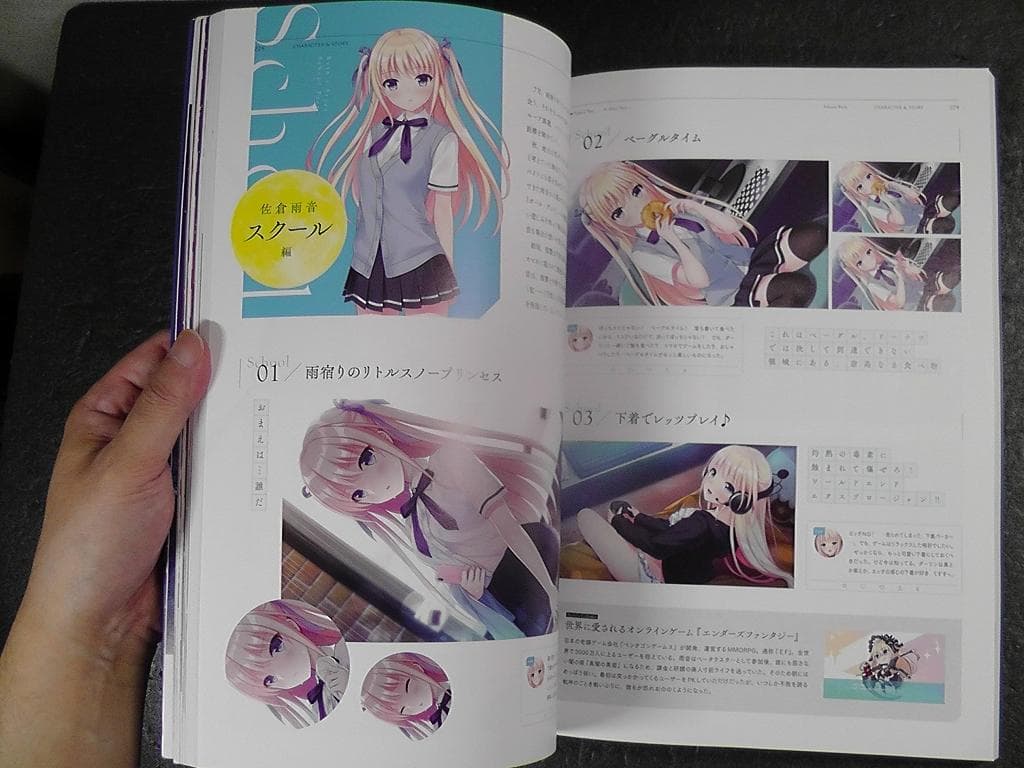 【CD2枚 未開封】 月の彼方で逢いましょう ビジュアルファンブック