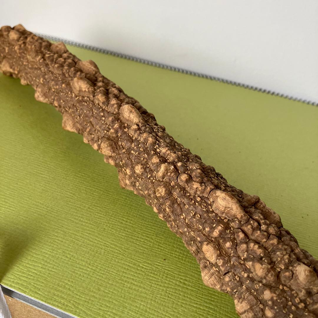 極上品超極太5.0cm 天然本山椒すりこぎ棒　プロ仕様国産山椒の木★長さ50cm