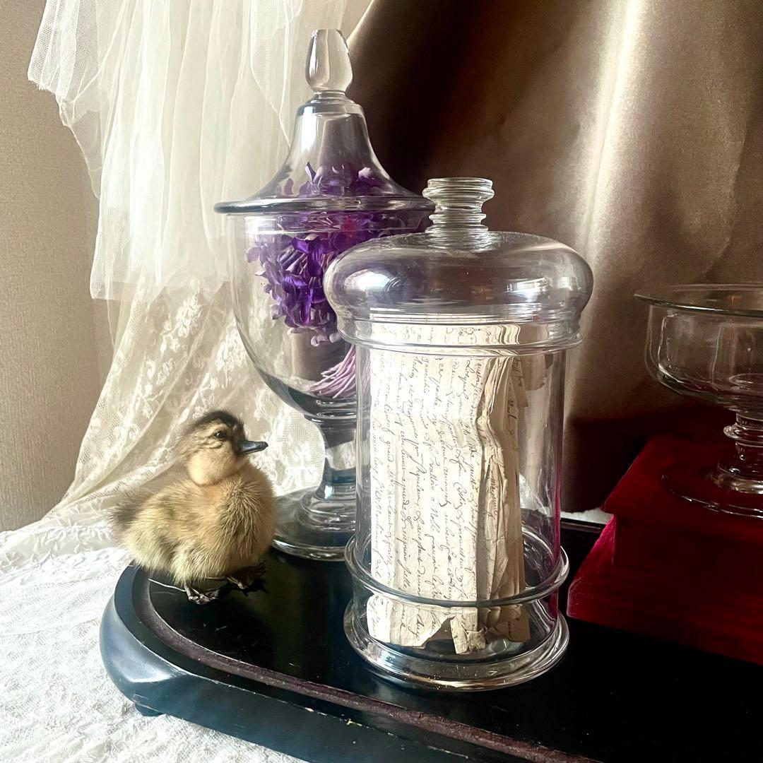 蓋付きファーマシーポット 吹きガラスの標本瓶薬瓶　19世紀 フランスアンティーク