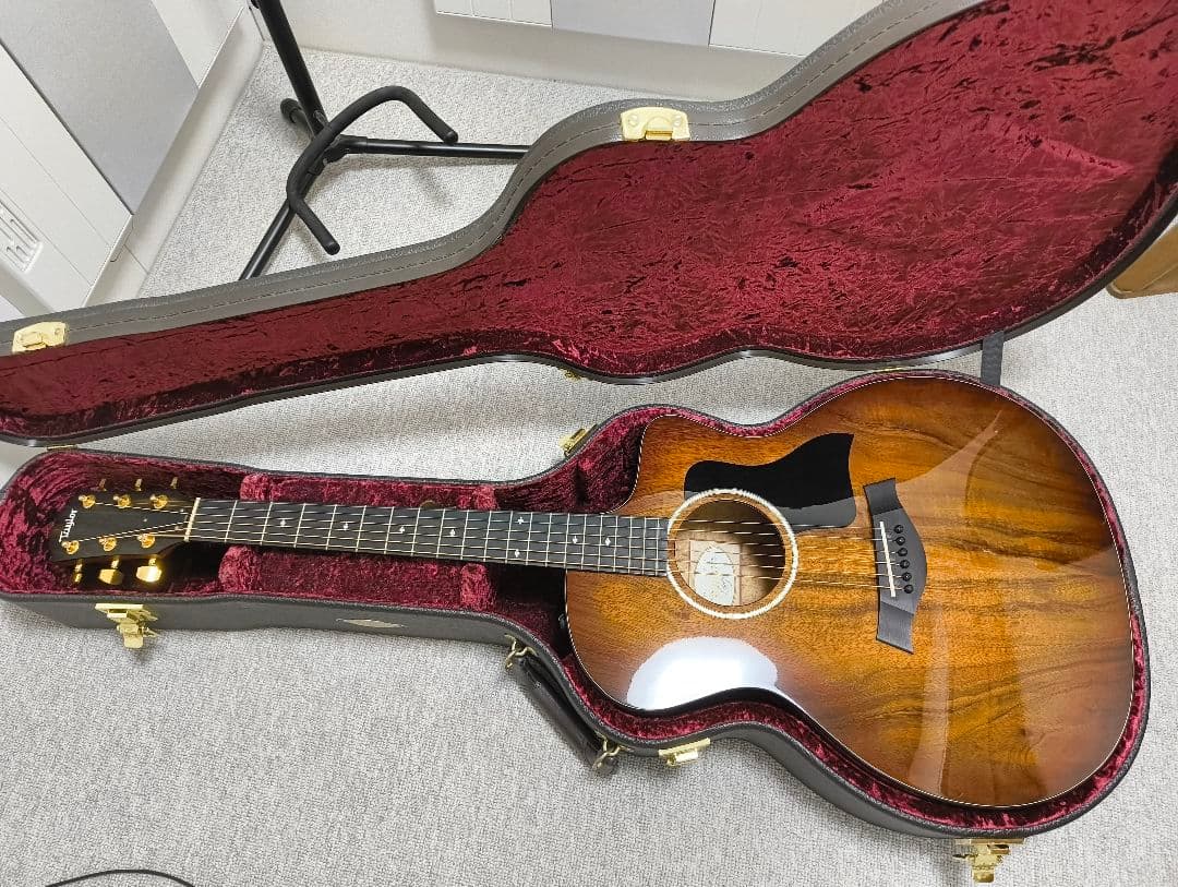 Taylor 224ce-Koa DLX　アコースティックギター