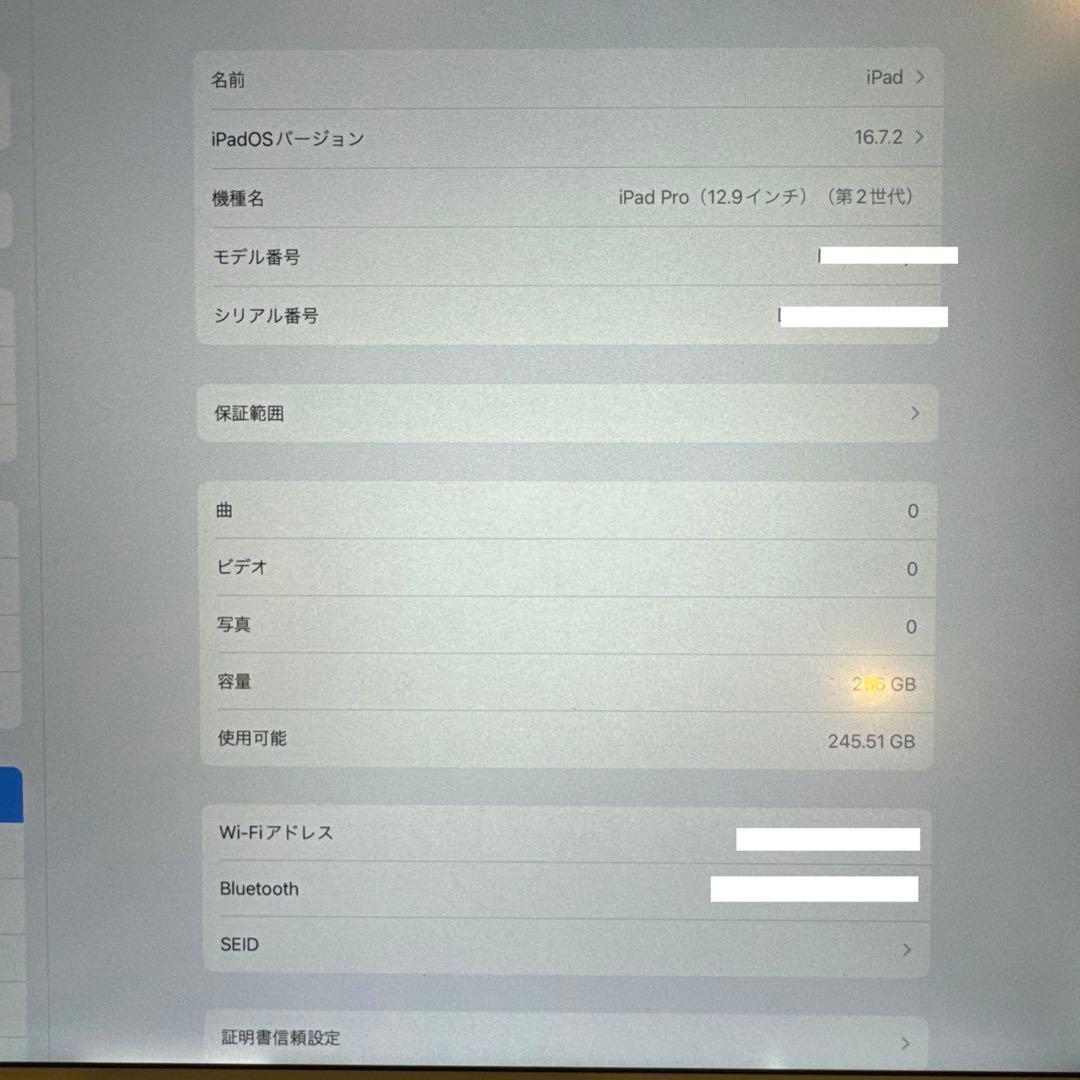 iPad Pro(12.9/第2世代/256GB）