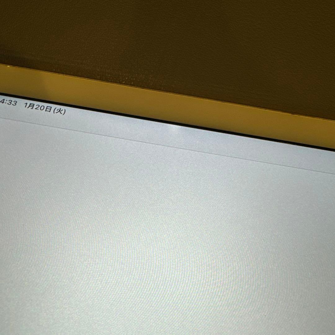 iPad Pro(12.9/第2世代/256GB）