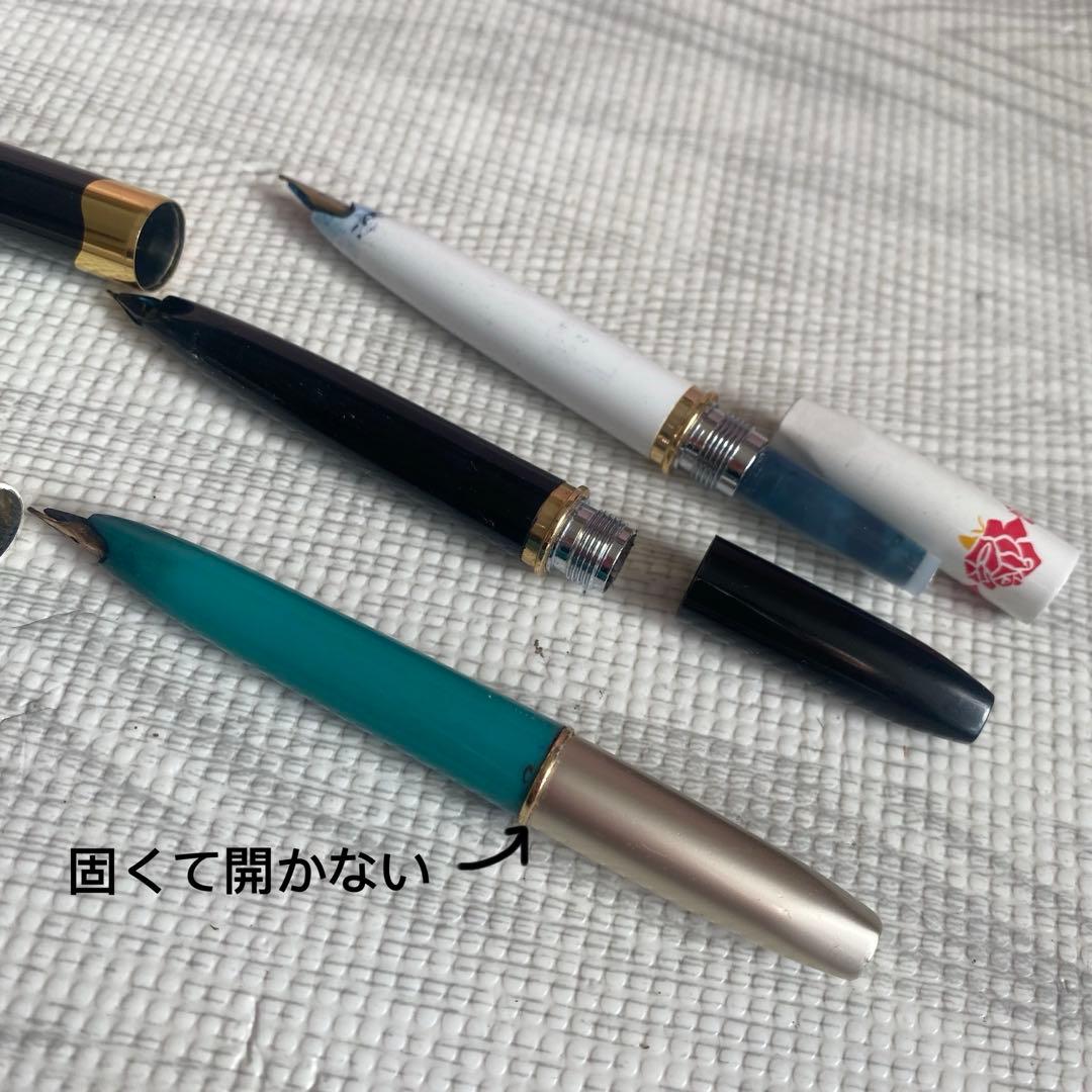 PLATINUM プラチナ 万年筆 18K ショート 金　廃盤　細字　花柄