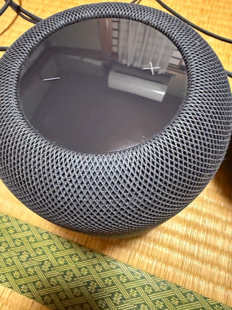 Apple Pod スペースグレー 2台セット