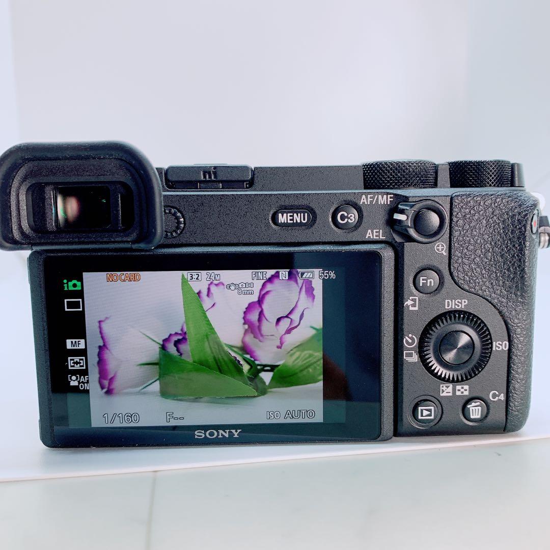 SONY ミラーレス一眼　a6600 ソニー　本体　ブラック　C0245