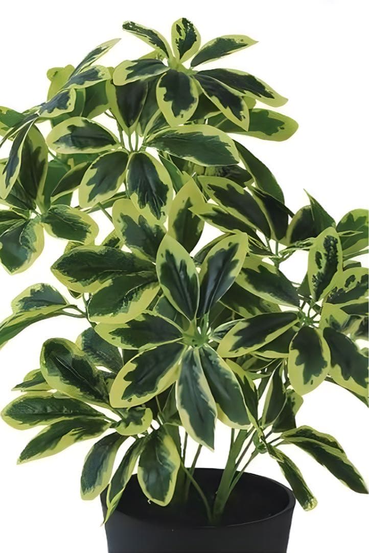 光触媒　人工観葉植物　ウォールグリーン　フェイクグリーン　イエローカポックM