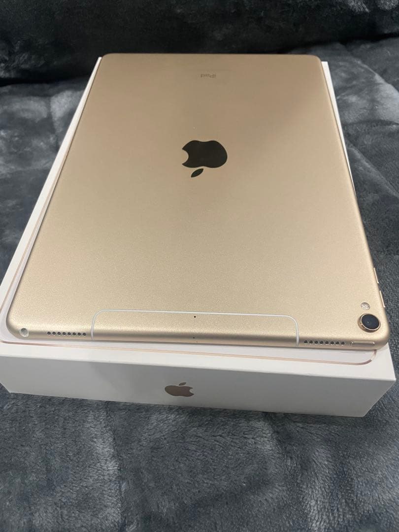 Apple iPad Pro 10.5インチ256GB 箱付き