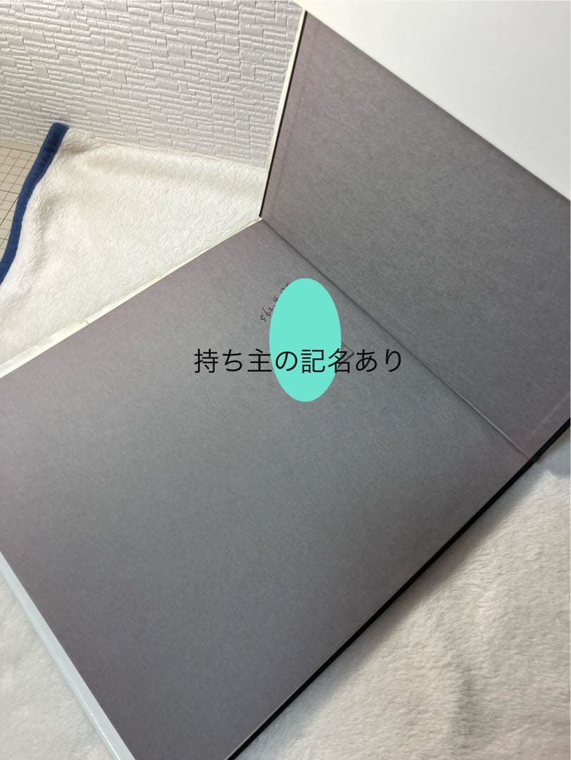 写真集 Lee Friedlander:Woer リー•フリードランダー