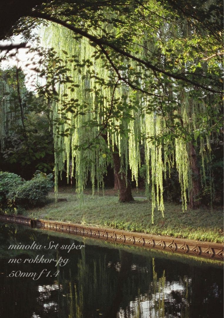 ★ミノルタ srt ★ロッコールf1.4★完動品＊美品＊初期保証★作例多数！