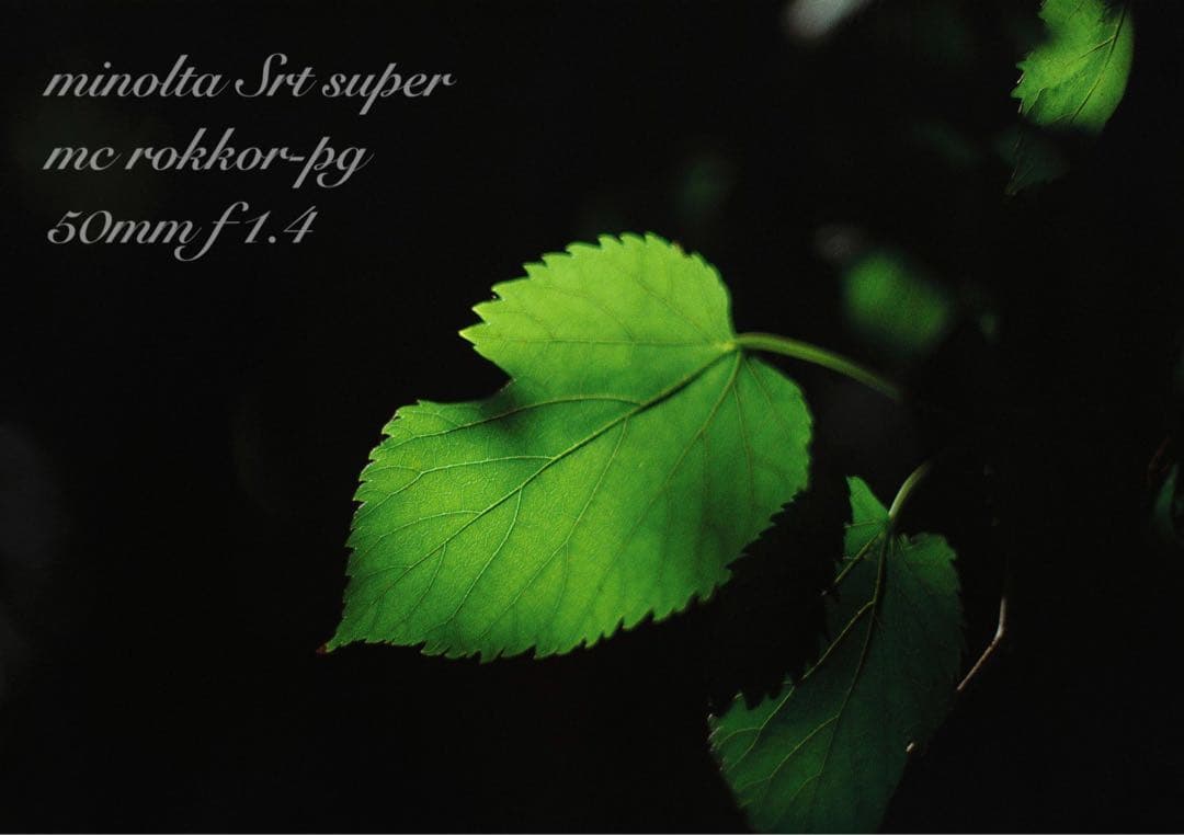 ★ミノルタ srt ★ロッコールf1.4★完動品＊美品＊初期保証★作例多数！