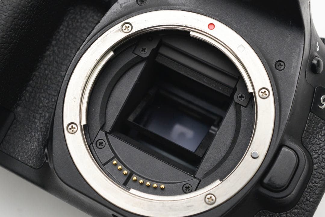 Canon EOS 90D標準&望遠&単焦点トリプルレンズセット